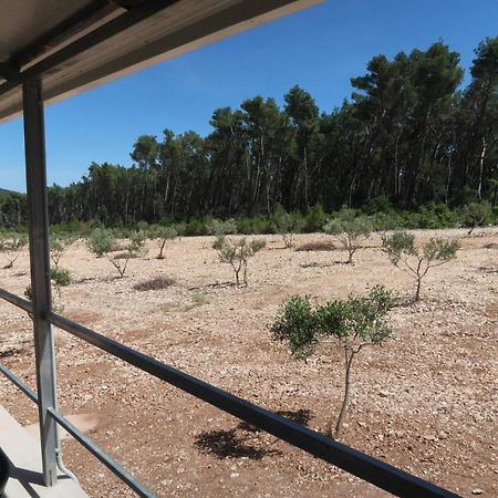 Robinson Olive Tree Huts Villa Čara Kültér fotó