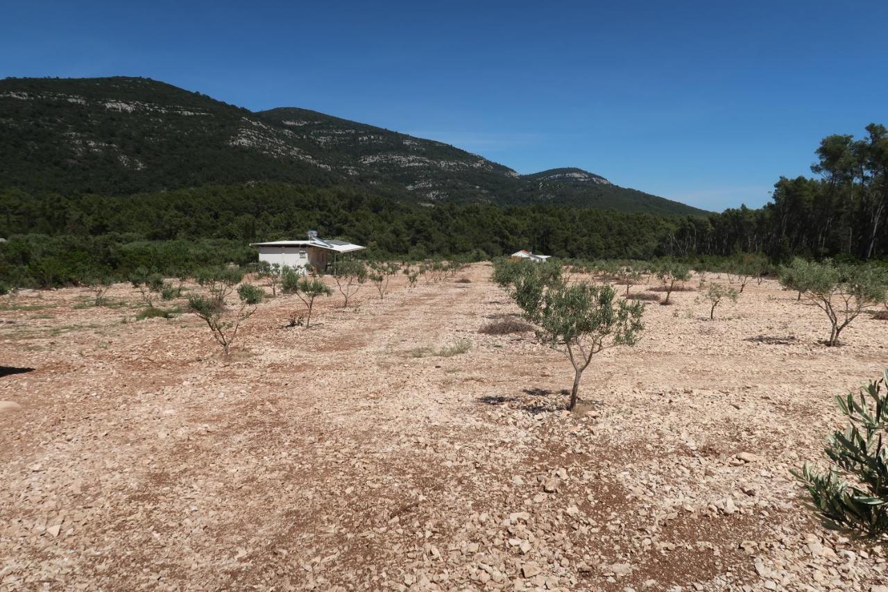 Robinson Olive Tree Huts Villa Čara Kültér fotó